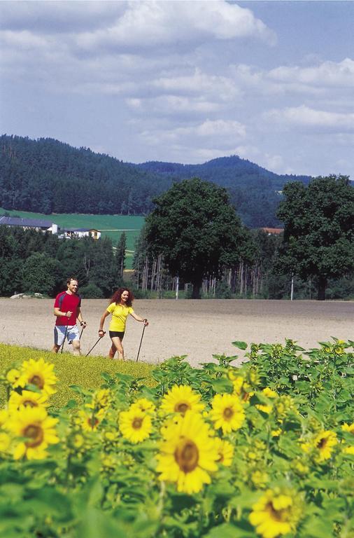 Hotel Hubertus Freistadt Dış mekan fotoğraf